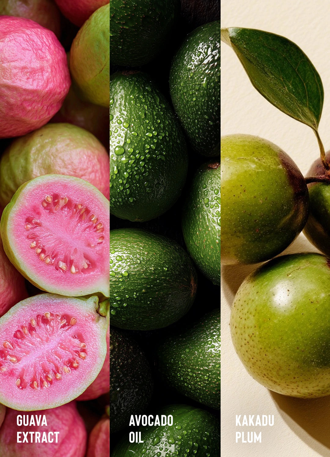 Guava Slip Shampoo