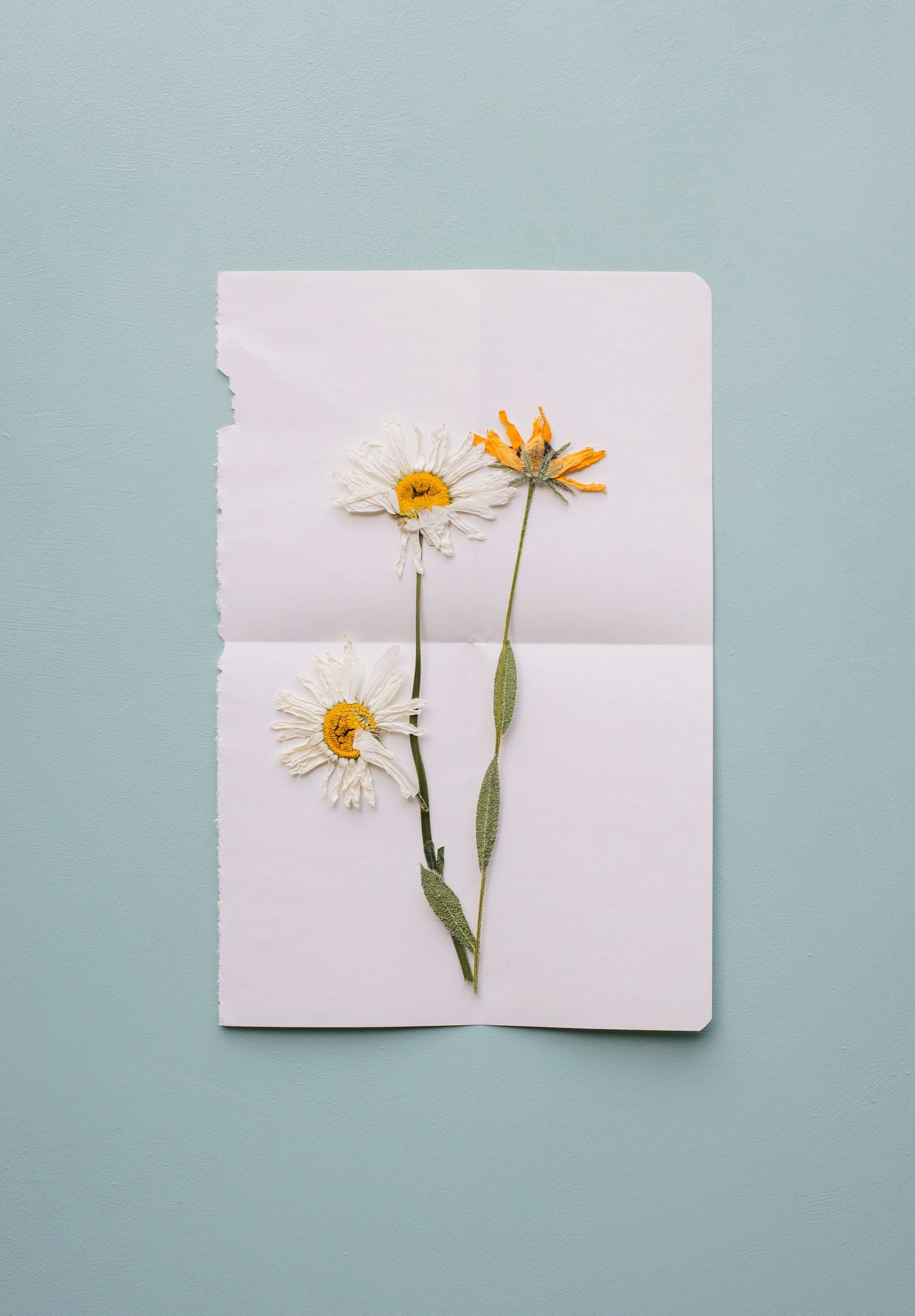 Celebrate Black History with These Black Beauty Inspired Greeting Cards