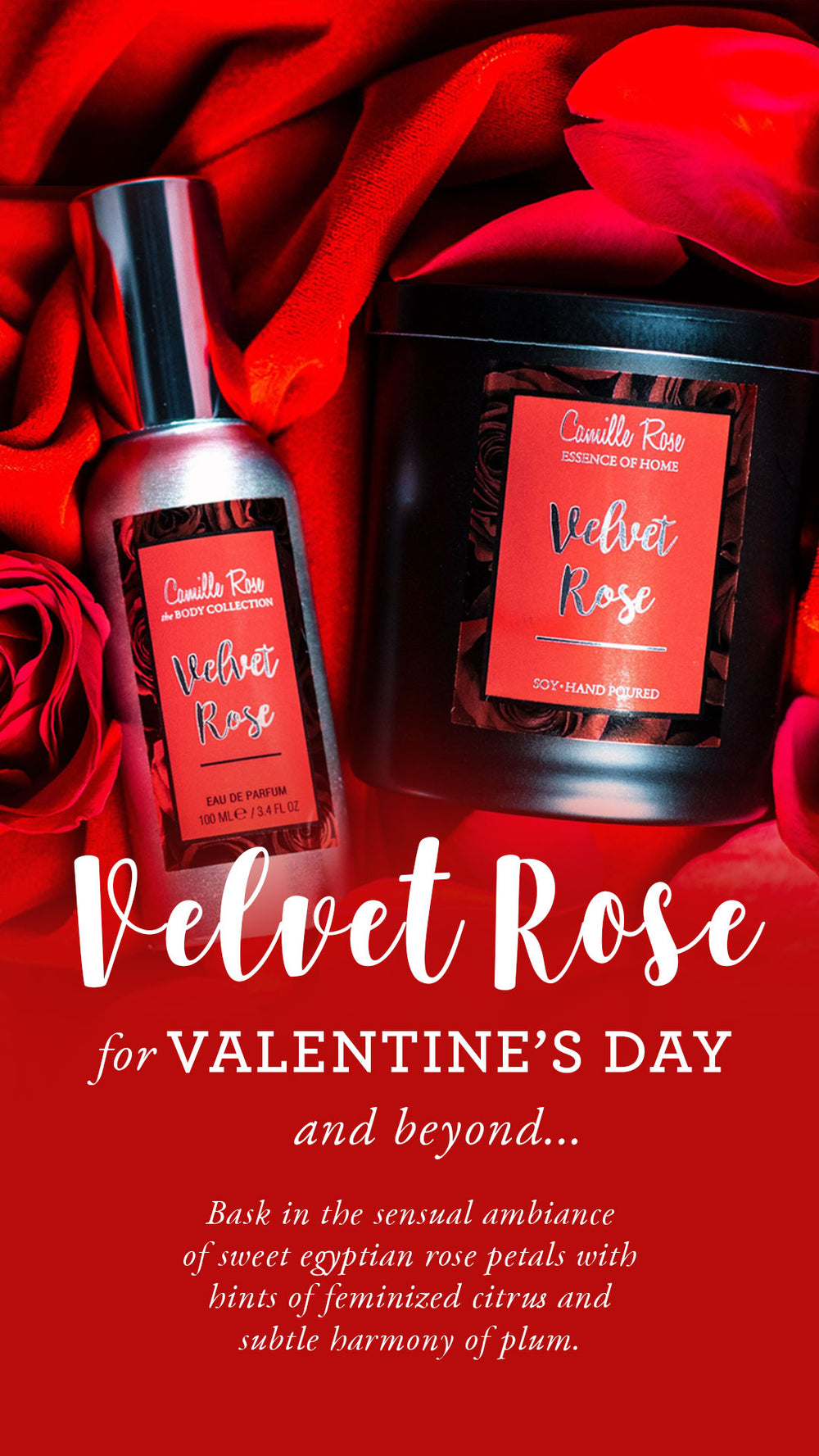 Here’s Why Camille Rose’s Velvet Rose Parfum is The Best Gift For Rose Day