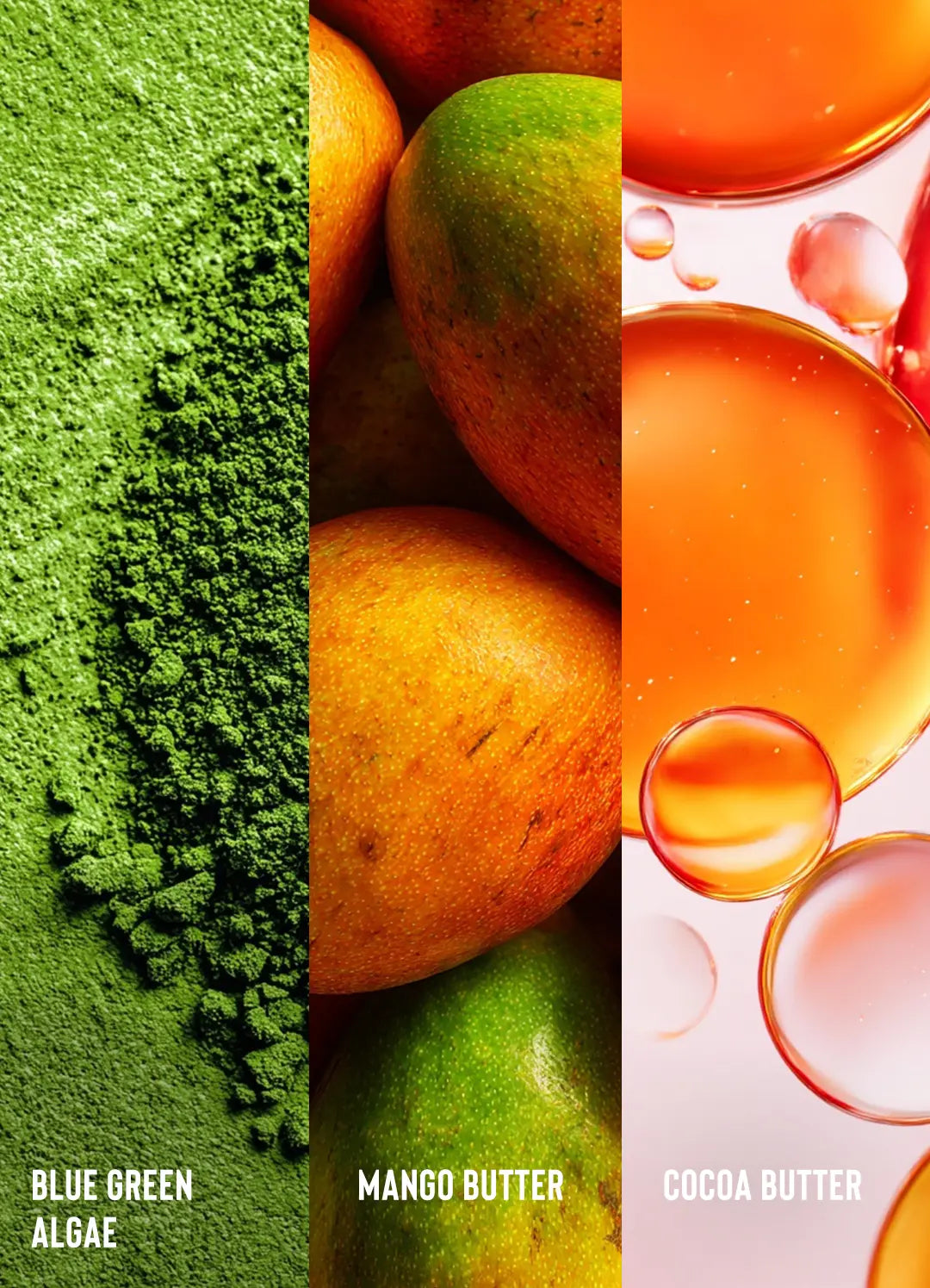 Algae Renew Deep Conditioner