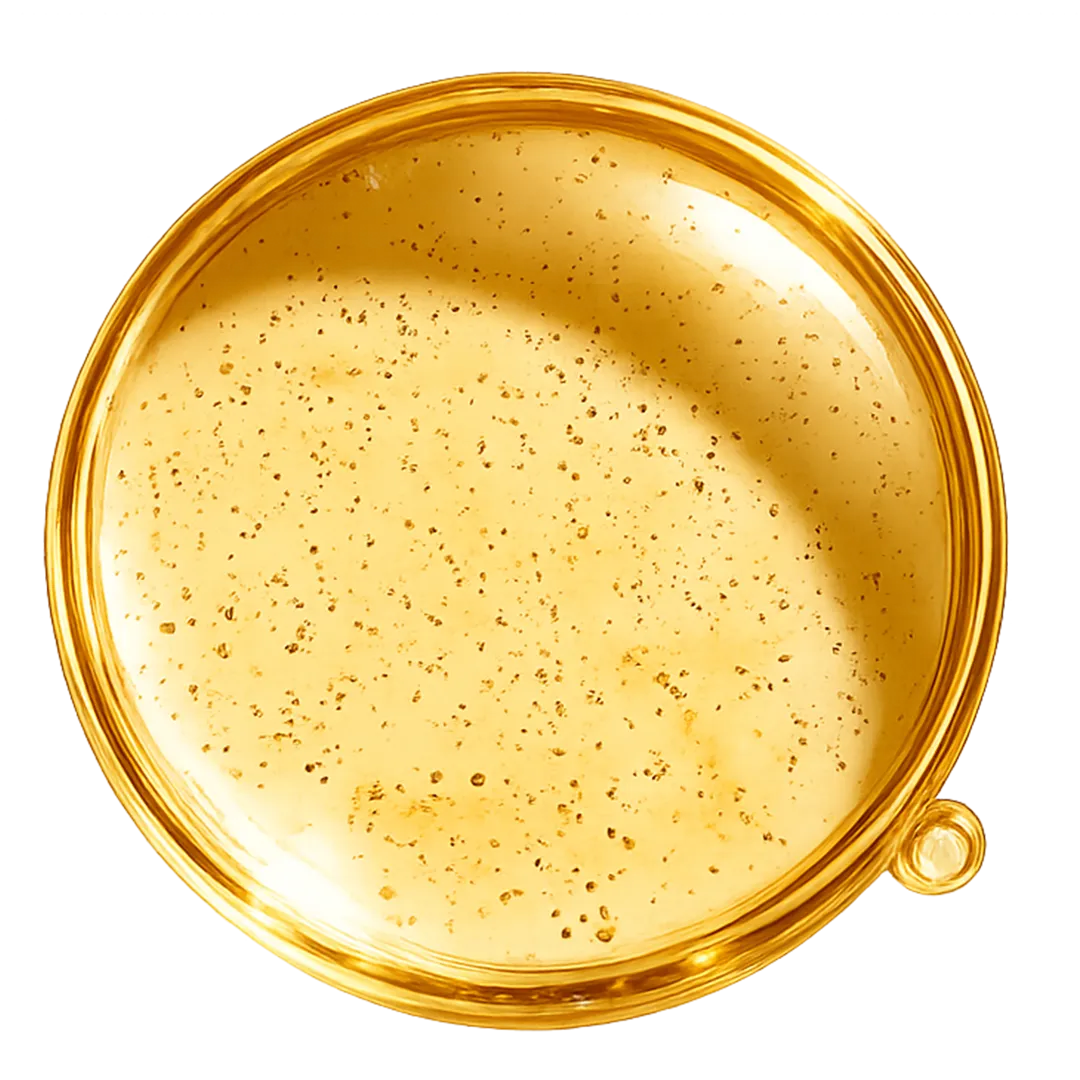 Chia Seed Oil