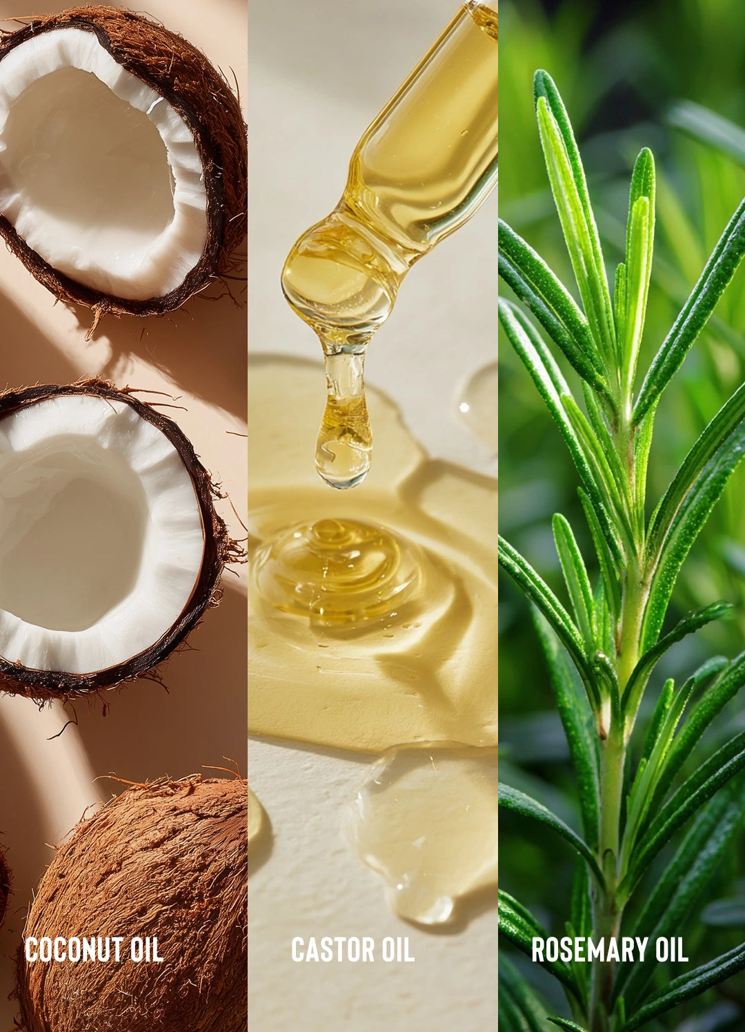 Coconut Water Curl Conditioner