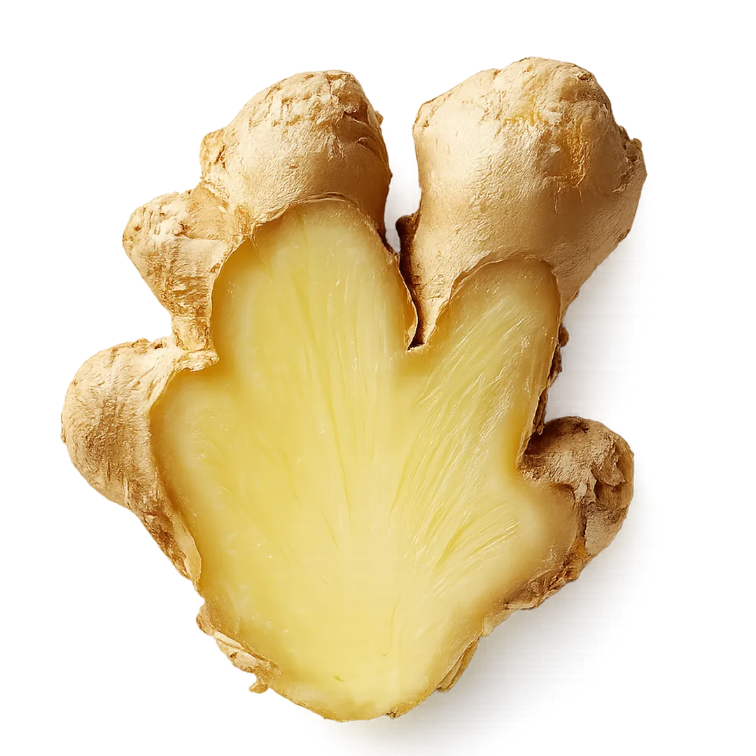 Ginger Root