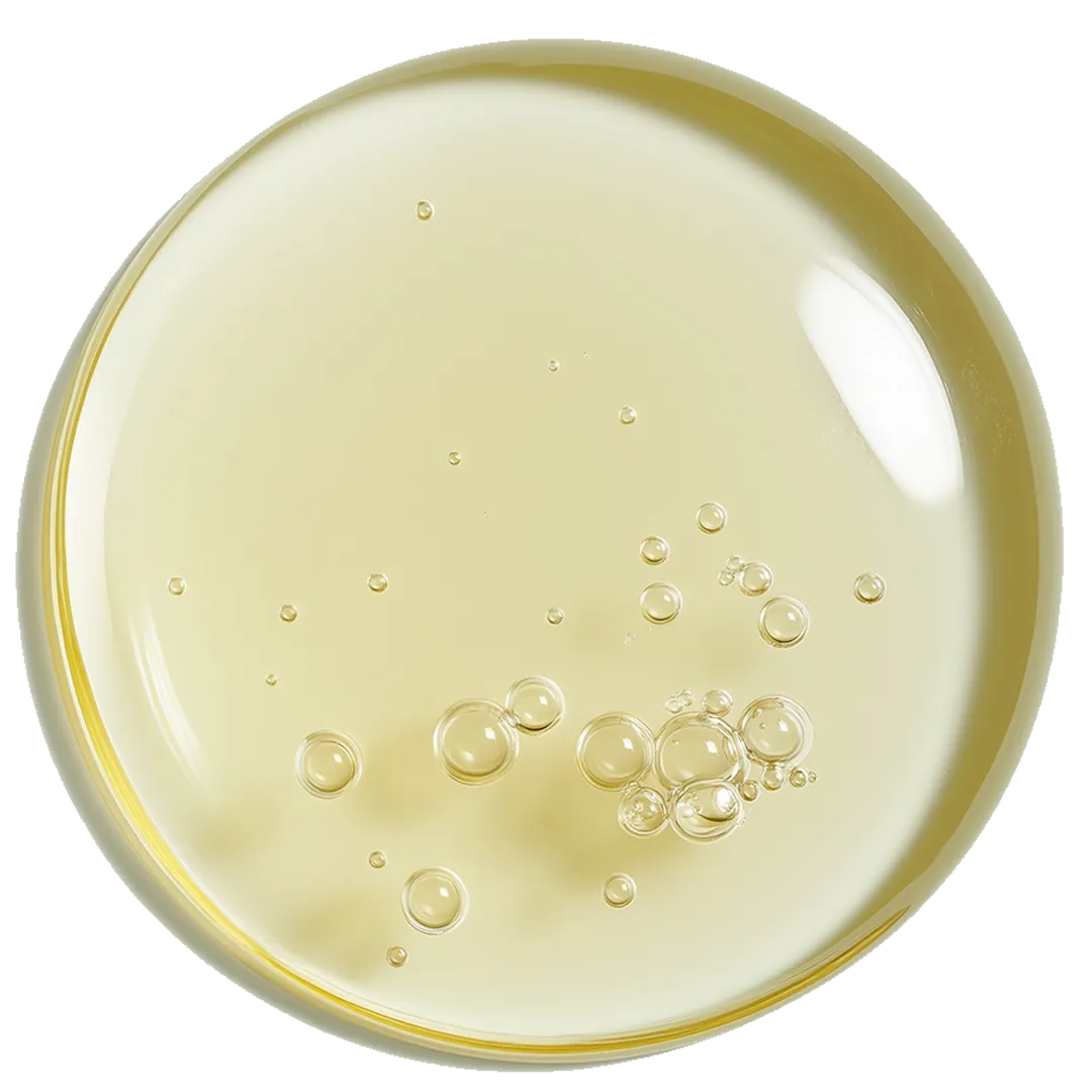Horsetail Extract