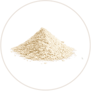 Prebiotic<br>inulin