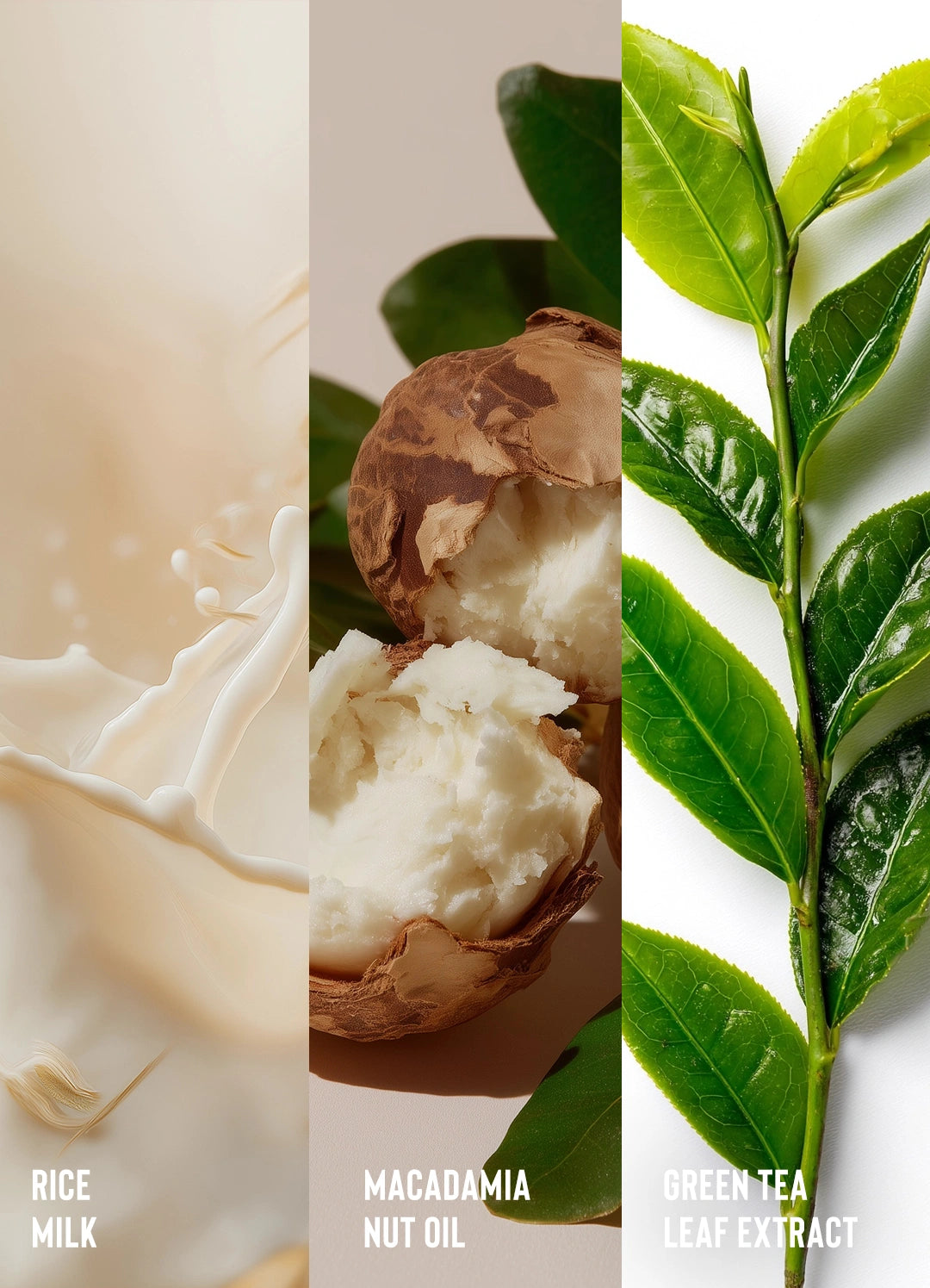 Curl Love Moisture Milk