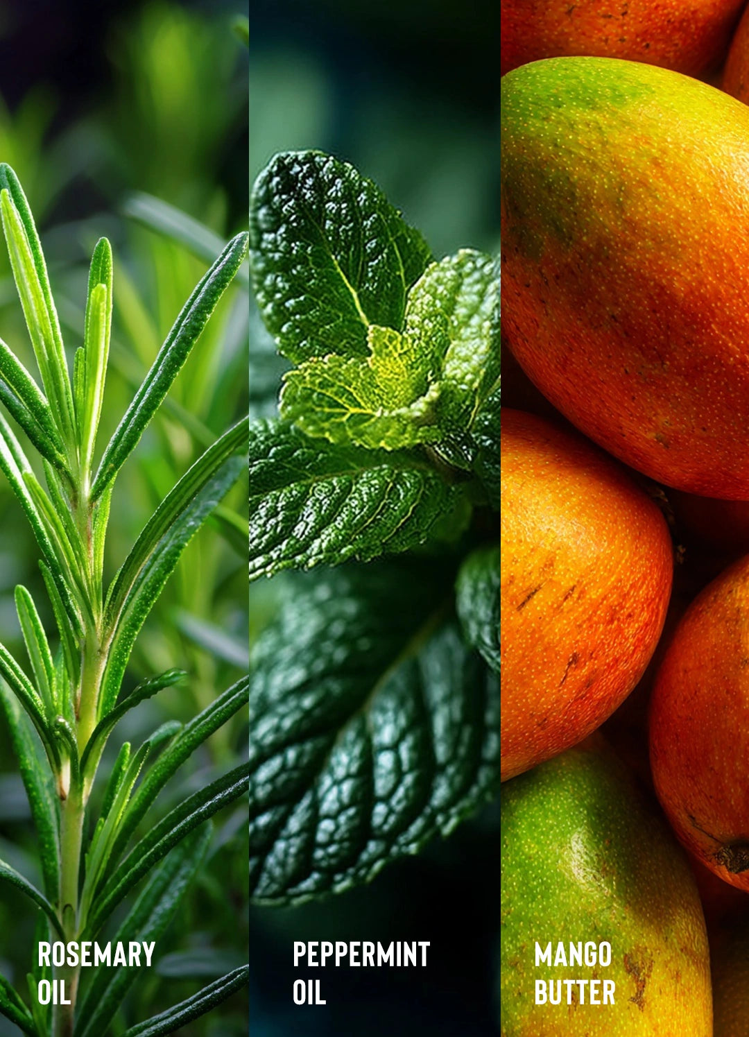 Rosemary Oil 5-Minute Strengthening Hair Mask