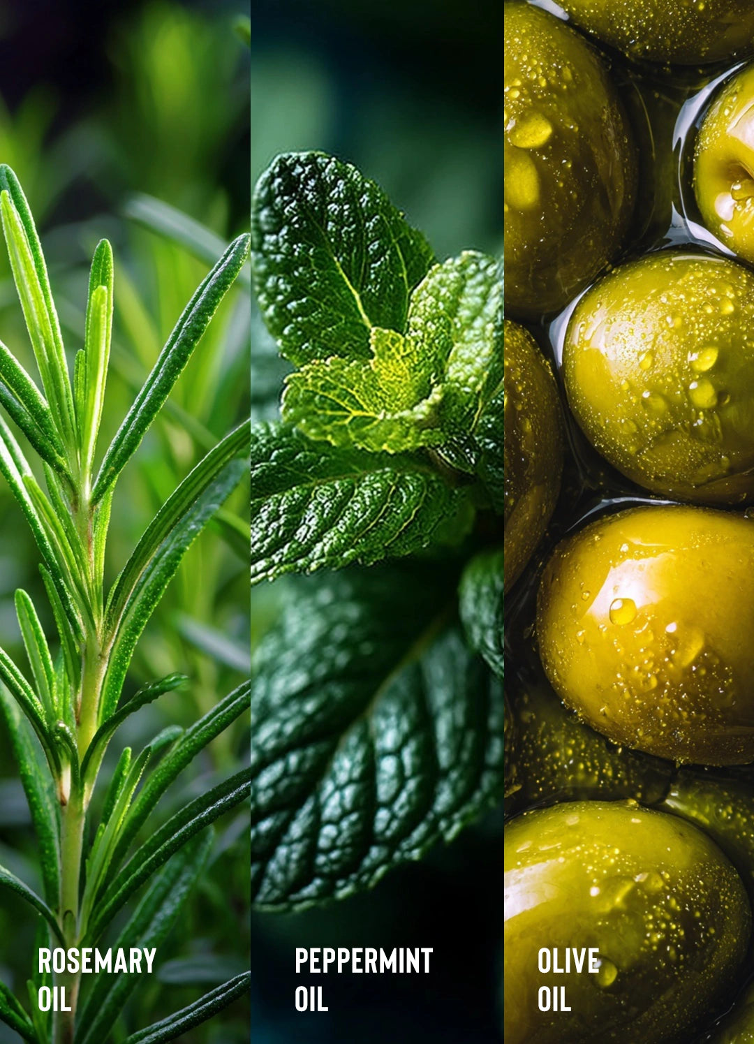 Rosemary Oil Strengthening Hair & Scalp Drops
