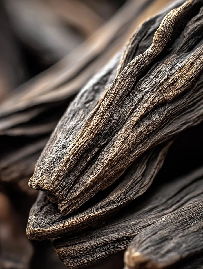 Slippery Elm Bark