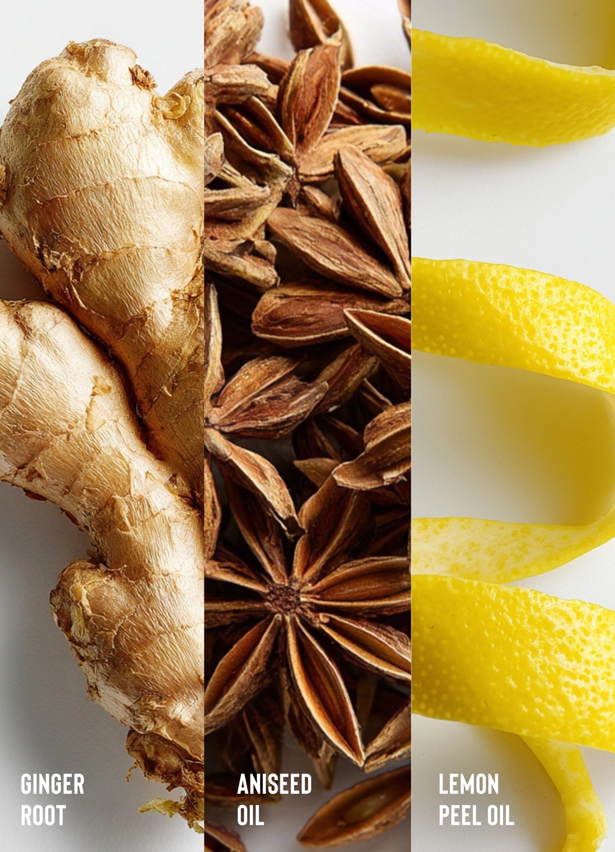 Sweet Ginger Cleansing Rinse