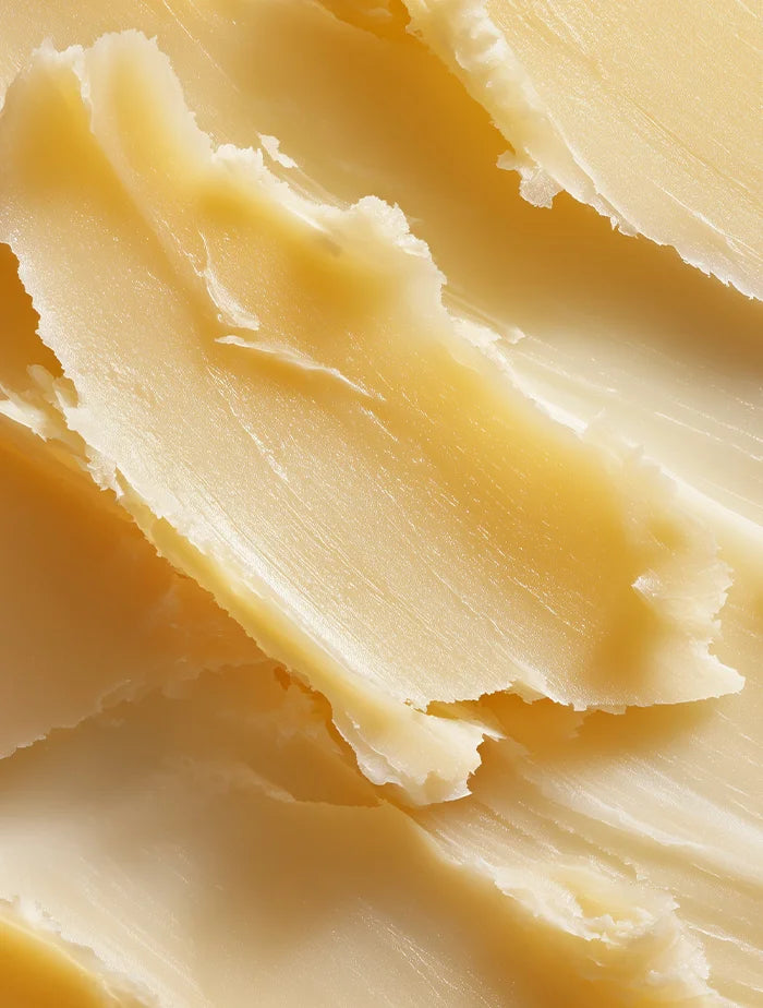 Ucuuba Butter