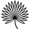 Vi-Spo™ Saw Palmetto Extract (Serenoa repens)