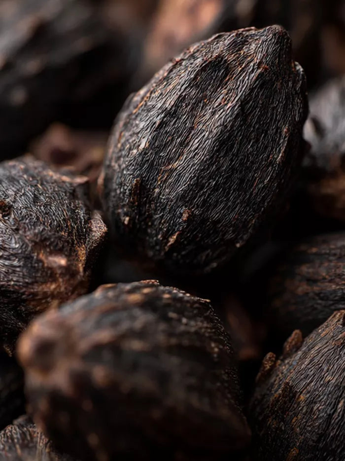 Black Castor Oil