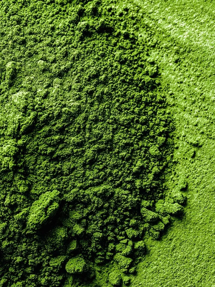 Blue Green Algae