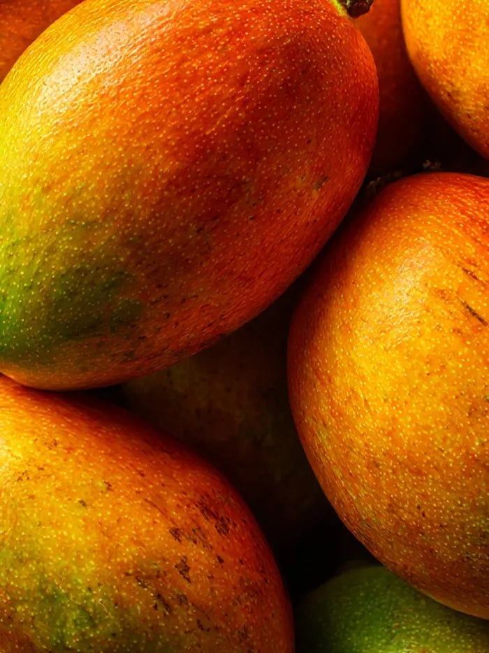 Mango Butter
